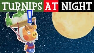 Turnip dupe timing (alternate setup)