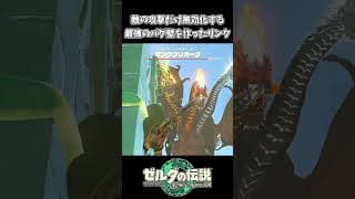 ワープの読み込み境界で地形を貫通（ティアキン）