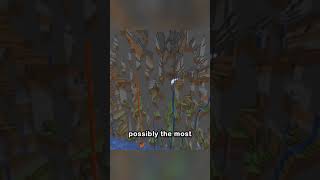 Far Lands terrain collapse